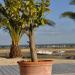 Terrasse au bord de l'eau
