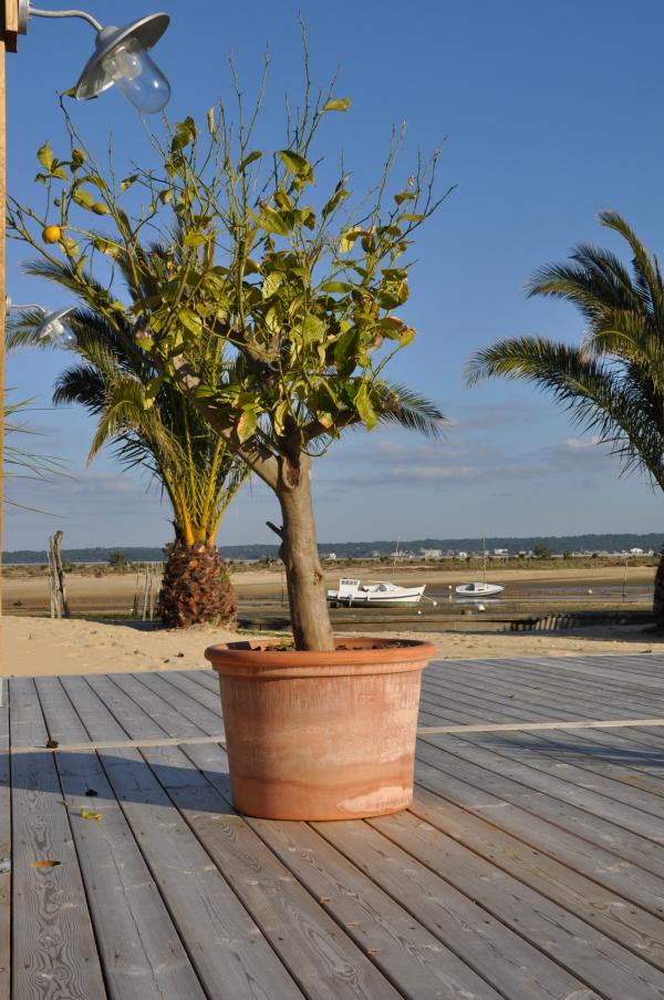 Terrasse au bord de l'eau