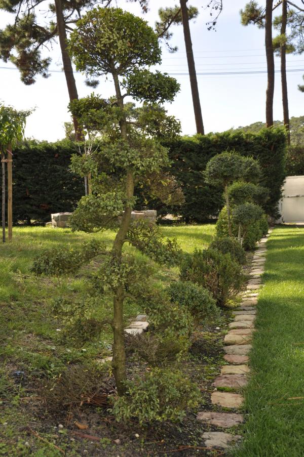 Un petit coin de fruitiers délimité par des pavés et plantations