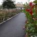 Les Photinia Fraseri x red robin soulignent l'ambiance de l'entrée de villa